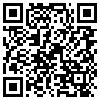 QR Code Handyversion