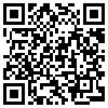 QR Code Handyversion