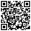 QR Code Handyversion