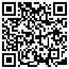 QR Code Handyversion