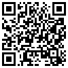 QR Code Handyversion