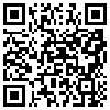 QR Code Handyversion