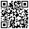 QR Code Handyversion