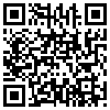 QR Code Handyversion