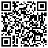 QR Code Handyversion