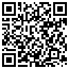 QR Code Handyversion