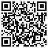 QR Code Handyversion