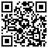 QR Code Handyversion