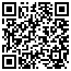 QR Code Handyversion