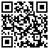 QR Code Handyversion