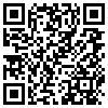 QR Code Handyversion