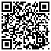 QR Code Handyversion