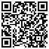 QR Code Handyversion