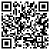 QR Code Handyversion