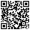 QR Code Handyversion