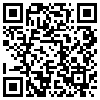 QR Code Handyversion