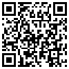 QR Code Handyversion