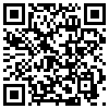 QR Code Handyversion