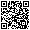 QR Code Handyversion