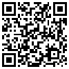 QR Code Handyversion