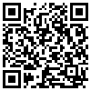 QR Code Handyversion