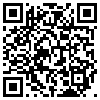 QR Code Handyversion