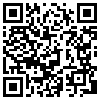 QR Code Handyversion