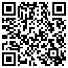 QR Code Handyversion