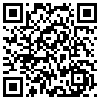 QR Code Handyversion