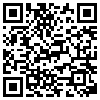 QR Code Handyversion