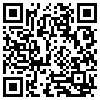 QR Code Handyversion