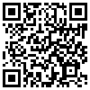 QR Code Handyversion