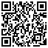 QR Code Handyversion