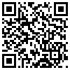 QR Code Handyversion