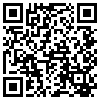 QR Code Handyversion