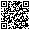 QR Code Handyversion