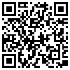 QR Code Handyversion