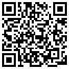 QR Code Handyversion