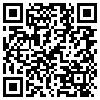 QR Code Handyversion