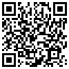 QR Code Handyversion