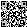 QR Code Handyversion