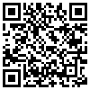 QR Code Handyversion