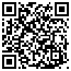 QR Code Handyversion