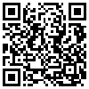 QR Code Handyversion