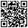 QR Code Handyversion