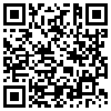 QR Code Handyversion