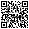 QR Code Handyversion