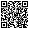 QR Code Handyversion