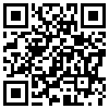 QR Code Handyversion