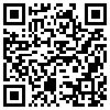 QR Code Handyversion